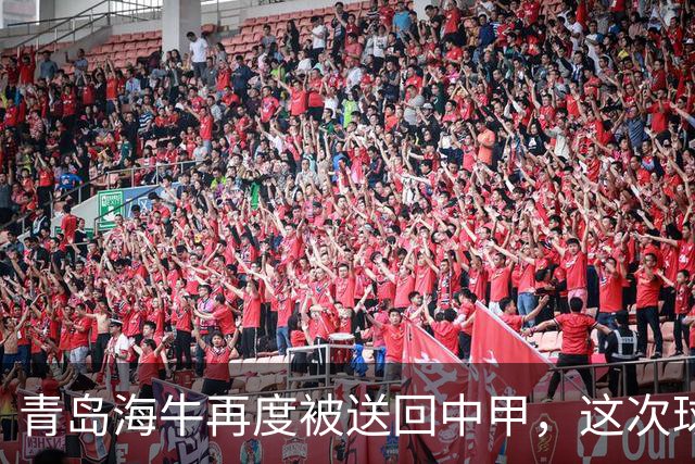 青岛海牛再度被送回中甲，这次球迷是释然了还是哭笑不得？